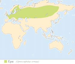 Areál rozšíření