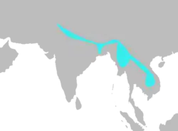 Areál rozšíření