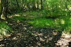 Jedna z vyschlých tůní