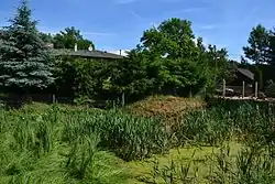 Fragment vodního příkopu