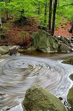 Hájený potok – pod prvním můstkem