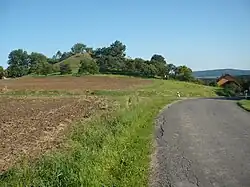 Pohled na severozápadní úbočí