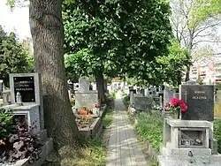 Hřbitov v Bohnicích