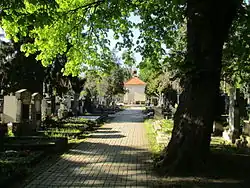 Hřbitov v Krči, centrální cesta s kaplí Panny Marie