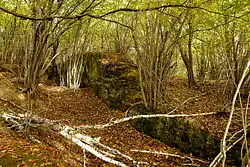 Vytěžená dajka na Hřebínku