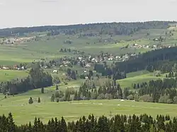 Hřebečná z Plešivce