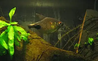 alternativní popis obrázku chybí