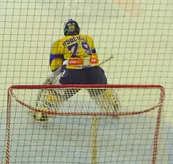 Luboš Horčička v zápase mezi HC Kometa Brno a PSG Zlín, 29. listopadu 2011