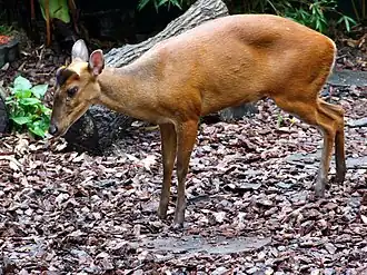 alternativní popis obrázku chybí