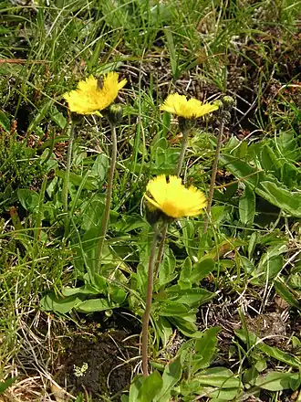 alternativní popis obrázku chybí