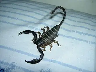 alternativní popis obrázku chybí