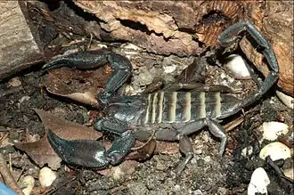 alternativní popis obrázku chybí