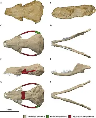 popis obrázku chybí