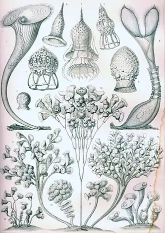 alternativní popis obrázku chybí