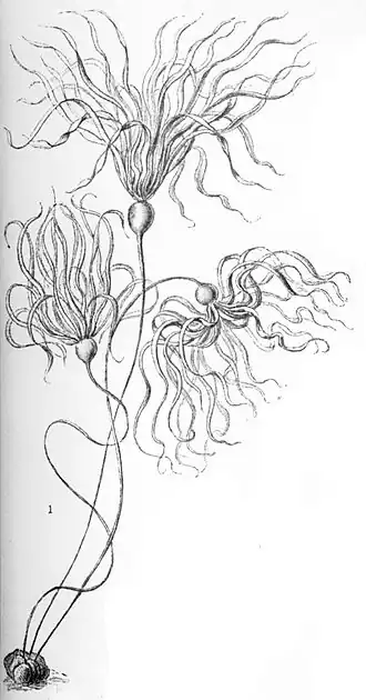 alternativní popis obrázku chybí