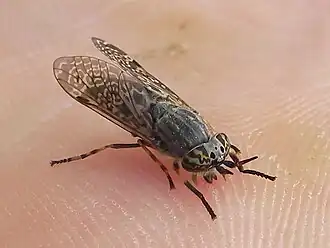 alternativní popis obrázku chybí