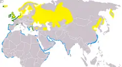 Rozšíření ústřičníka velkého. Žlutá = pouze v létě, modrá = pouze v zimě, zelená = všechna roční období