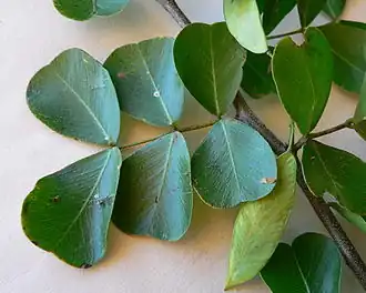 alternativní popis obrázku chybí