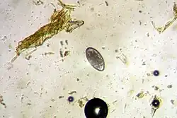 alternativní popis obrázku chybí