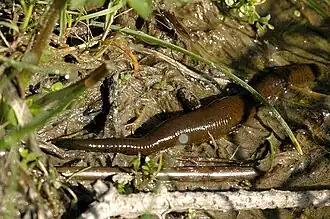 alternativní popis obrázku chybí