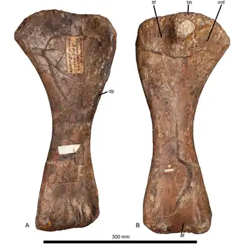 alternativní popis obrázku chybí