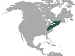 rozšíření krtka bělohlavého