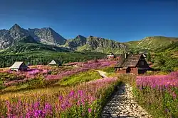 Údolí Gąsienicowa