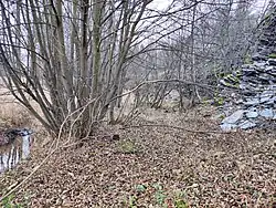 Potok Bohna a břidlicová halda