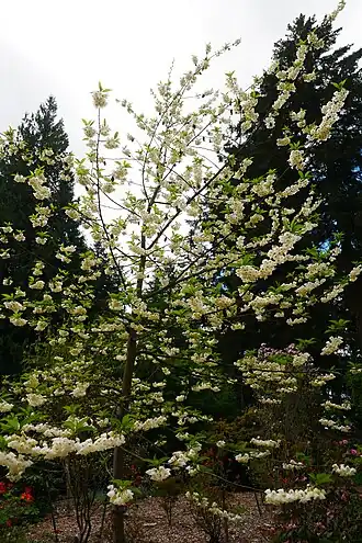 alternativní popis obrázku chybí