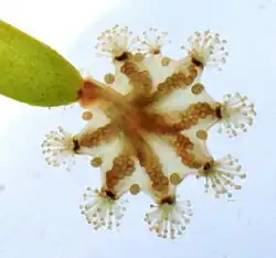 alternativní popis obrázku chybí