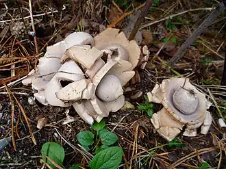 alternativní popis obrázku chybí