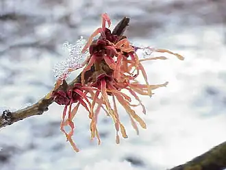 alternativní popis obrázku chybí