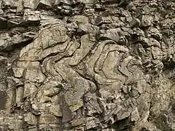 Vrásy v bítešských ortorulách, Zadní Hamry