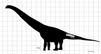 popis obrázku chybí