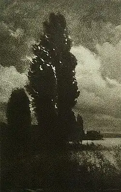 Pappeln Und Wolken [Die Kunst in der Photographie (Art Folio #1)], 1900