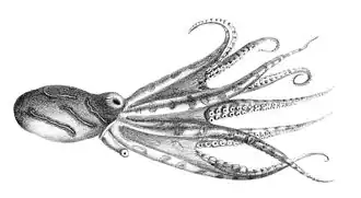 alternativní popis obrázku chybí