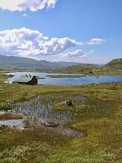 Pohled na náhorní plošinu Hardangervidda