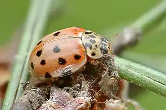 alternativní popis obrázku chybí