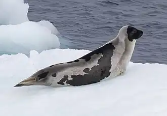 alternativní popis obrázku chybí