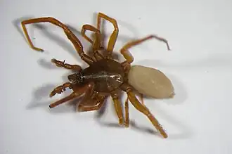 alternativní popis obrázku chybí