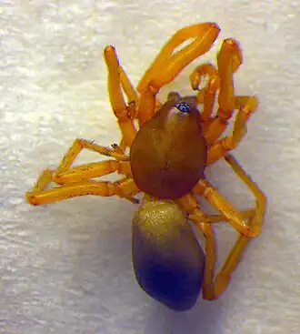 alternativní popis obrázku chybí