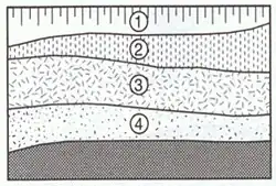 Souvrství, nenarušené mladšími zásahy obsahuje horizontálně uložené stratigrafické jednotky.
