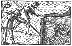 Tato černobílá reprodukce zobrazuje dva rybáře, jak z vody tahají sítě plné ryb a vlaštovek