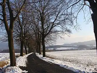 Silnice III/03514 v místě přimknutí se ke zrušené železniční trati