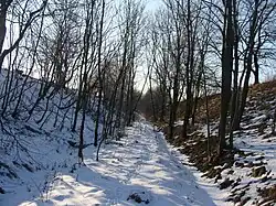 Trať v zářezu. Její těleso a levá strana zářezu je pokryta sněhem. Obě strany zářezu jsou pokryté opadanými listnatými stromy.