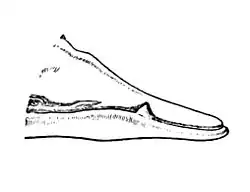Náčrtek hlavy vorvaňovce severomořského s patrnými kly