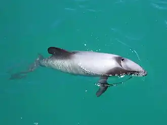 alternativní popis obrázku chybí