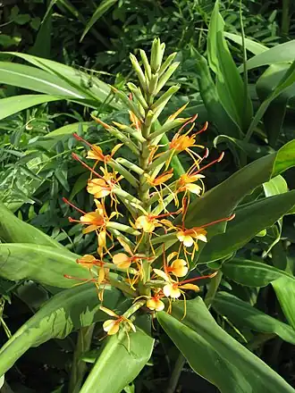 alternativní popis obrázku chybí