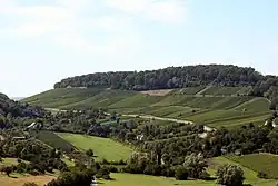 Wartberg u Heilbronnu z Weinsbergu