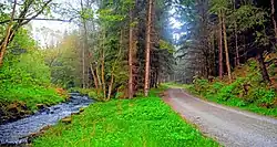 Lesní cesta a říčka Sebnice